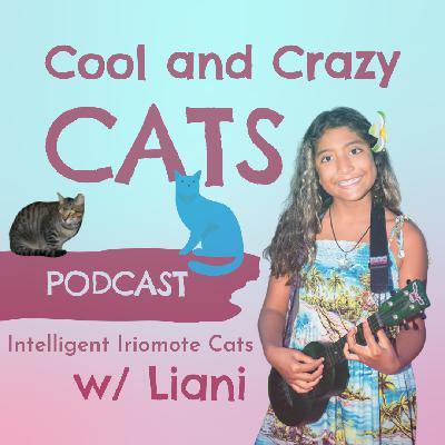 Intelligent Iriomote Cats