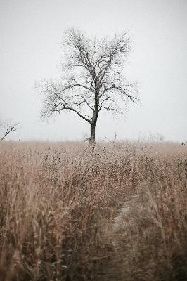 #25 SLOW DOWN: living with your moon seasons