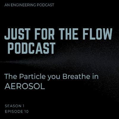 Episode 10: The Particle you Breathe in|Aerosols