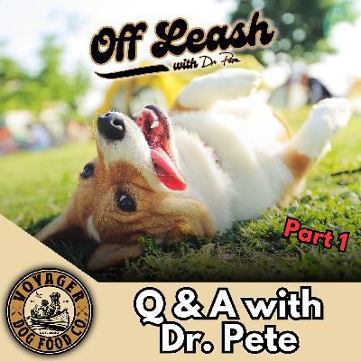 Q&A with Dr. Pete (Part 1)