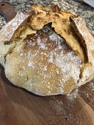 Struggling with Gluten?  The Secret to Being Able to Eat Bread Again