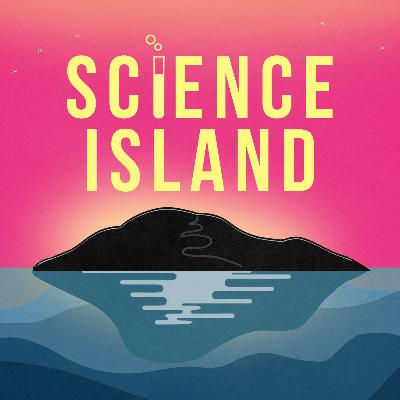 Открываем 4 сезон! Открываем 4 сезон!