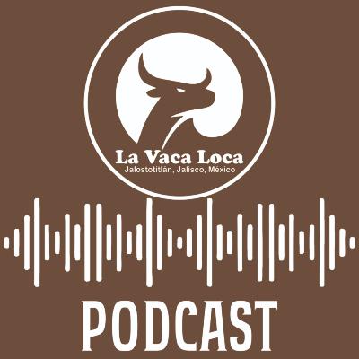 Mi Inconsistencia En El Programa.