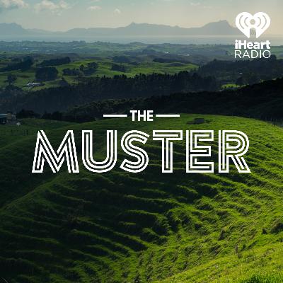 Best Of The Muster: 11/10/25