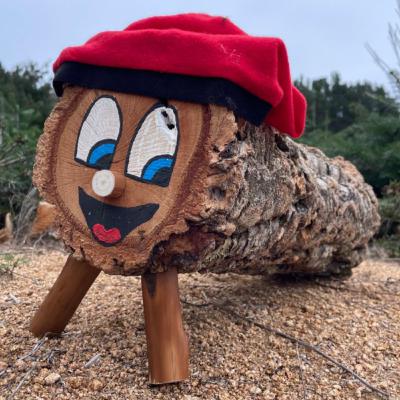 6. El Tió de Nadal.