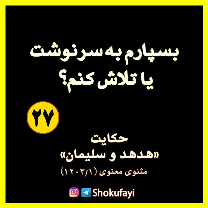 بسپارم به سرنوشت یا تلاش کنم؟