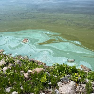 Algal Blooms in Colorado - An Interview with CDPHE Water Quality Specialist Sarah Erickson