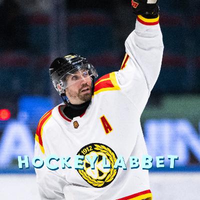 Hockeyallsvenskan All Stars Hockeyallsvenskan All Stars