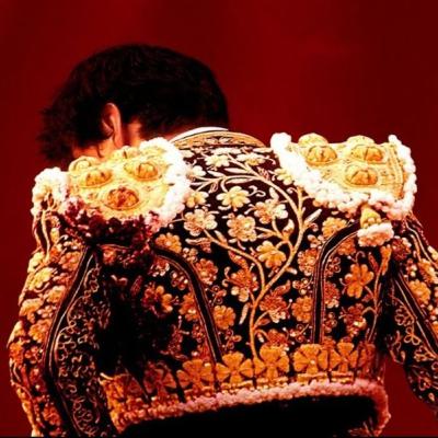 Tardes de soledad, mort dans l'après-midi (critique)