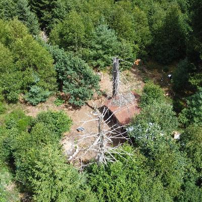 E10, Partie 2 - Quatre mois en autonomie dans la forêt, Blandine Rouche & Robin Amaz