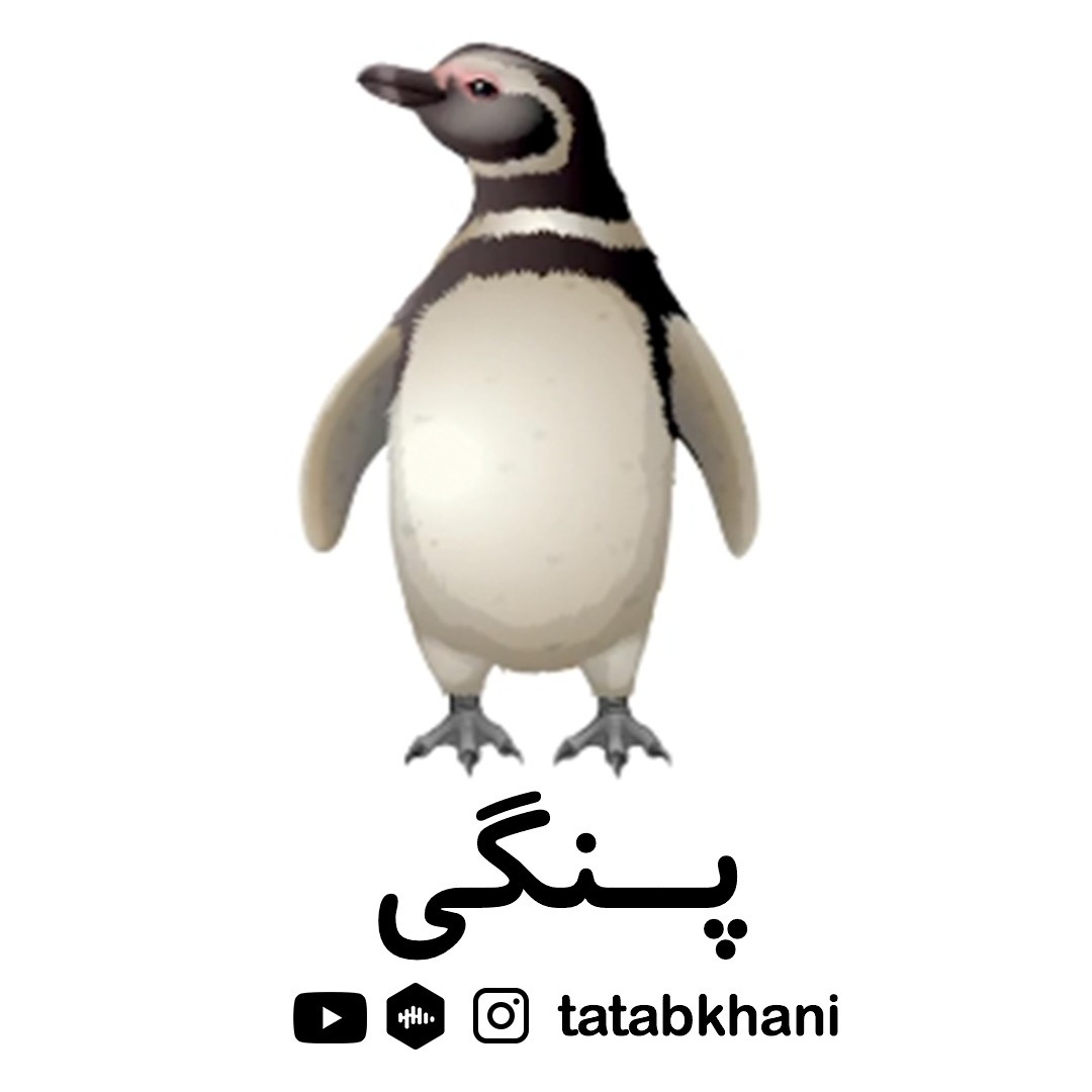 داستان پنگوئن - داستان پنجاه و سوم : پَنگی