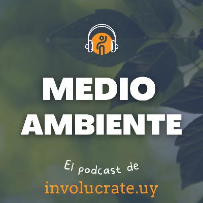 La esencia de las playas