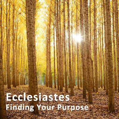 #6 - Watch Your Words! (Ecc. 5:1-7)