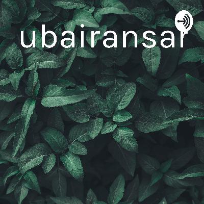 zubairansari (Trailer)