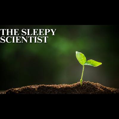 How Plants Evolve to Survive _ Science for Sleep How Plants Evolve to Survive _ Science for Sleep