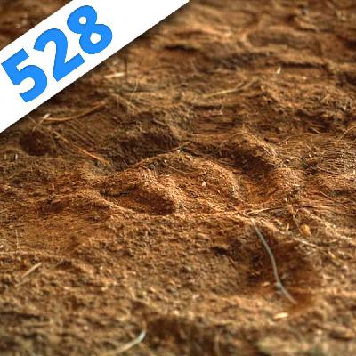 528 - Le Podcast qui se Terre