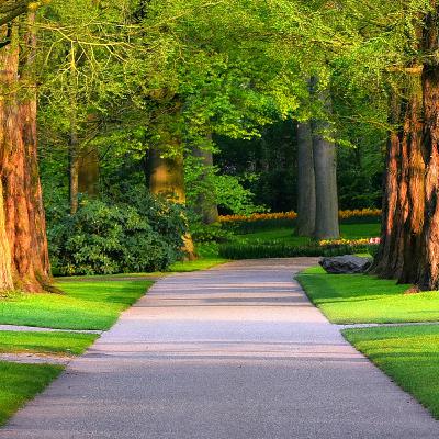 The Road Ahead The Road Ahead