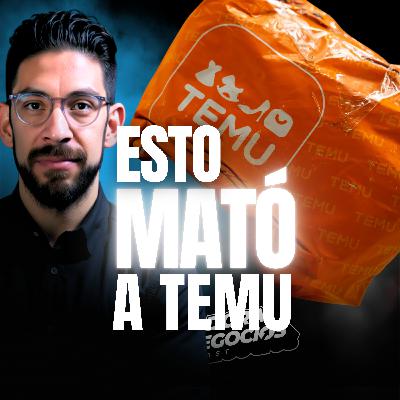 La caída de Temu: ¿una estrategia arriesgada?