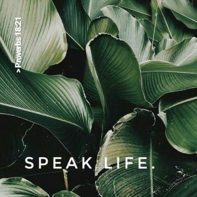 Words of Power: Proverbs 18:21 Words of Power: Proverbs 18:21