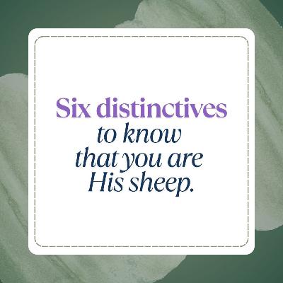 Six distinctives to know that you are His sheep Six distinctives to know that you are His sheep