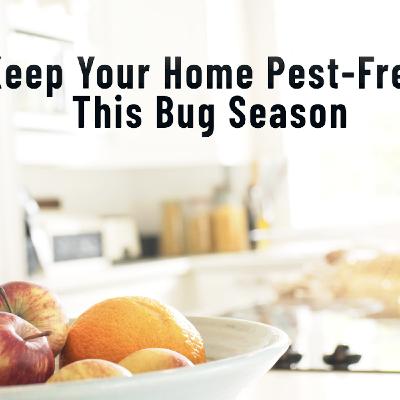 Keep Your Home Pest-Free This Bug Season