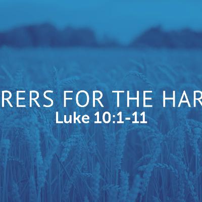 Laborers For The Harvest