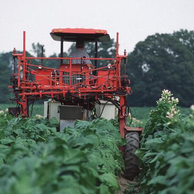 Where have all the Black farmers gone?