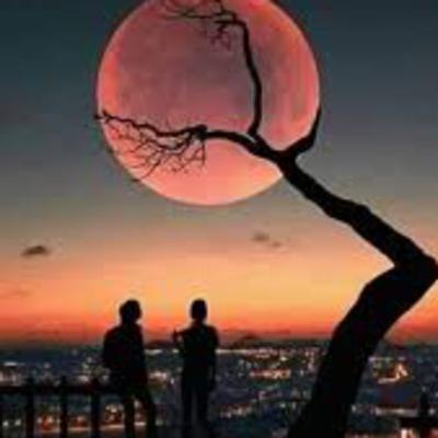 اسوء انواع الحب…
