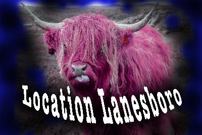 5G the coronavirus and home recipes.