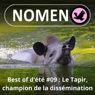 BEST OF D'ÉTÉ #09 : Avec le Tapir ... t'as pas meilleur disséminateur de graines !