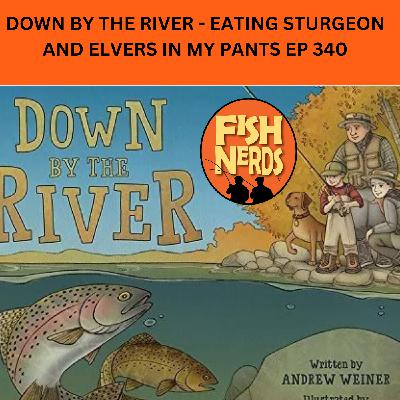 DOWN BY THE RIVER - EATING STURGEON AND ELVERS IN MY PANTS EP 340 DOWN BY THE RIVER - EATING STURGEON AND ELVERS IN MY PANTS EP 340