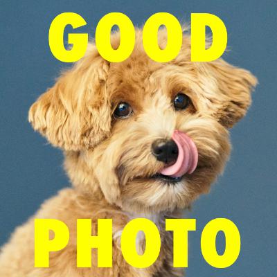 写真がうまい人は車の運転もうまい。運転がうまくなる、写真の撮り方！