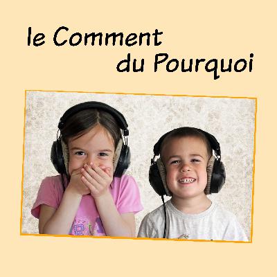 #30 - Toutes les plantes peuvent devenir des arbres ? #30 - Toutes les plantes peuvent devenir des arbres ?