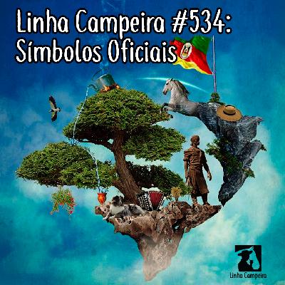 Episódio #534 - Símbolos Oficiais