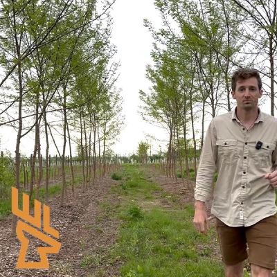 EP178 Reshaping Your Farm with Trees, Income Generators, Fruit, Chestnuts, Attracting Deer