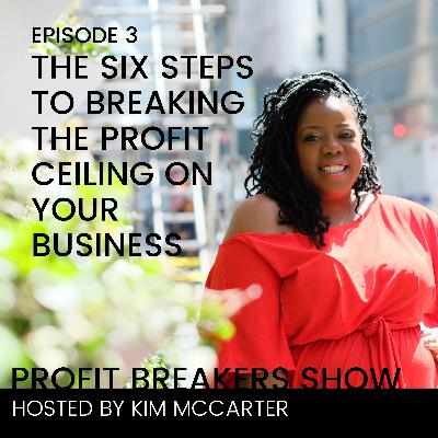 E003: The Six Steps To Breaking The Profit Ceiling On Your Business