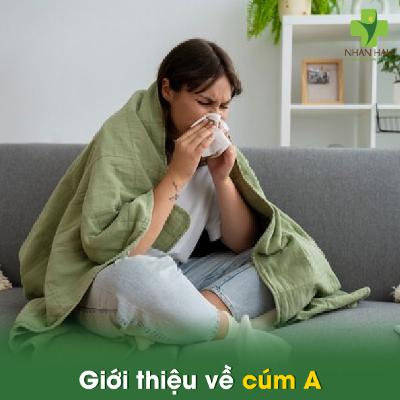 Cúm A là gì? Nguyên nhân, triệu chứng, cách điều trị và phòng ngừa Cúm A là gì? Nguyên nhân, triệu chứng, cách điều trị và phòng ngừa