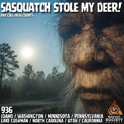 We Hit It With Our Car! | Pennsylvania We Hit It With Our Car! | Pennsylvania