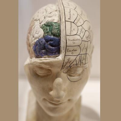 Why cognitive decline is not inevitable