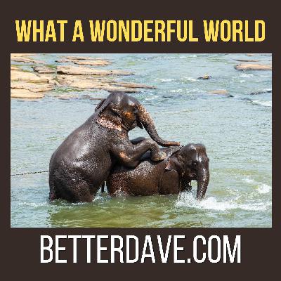 What A Wonderful World