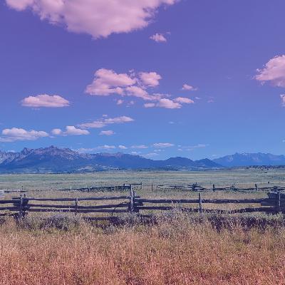 Getting Honest About Boundaries: How to Set Them, Hold Them, and Stop Feeling Guilty Getting Honest About Boundaries: How to Set Them, Hold Them, and Stop Feeling Guilty