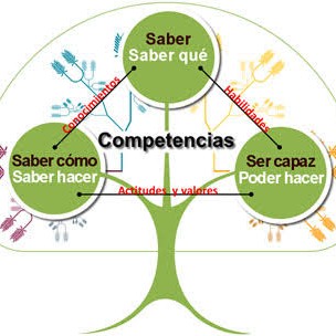 Proceso educativo por competencias