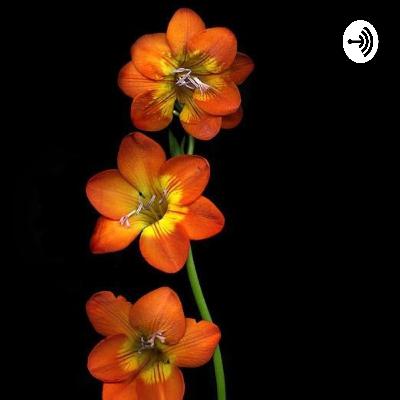 Una pincelada del amor Dios.