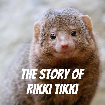 The story of Rikki Tikki