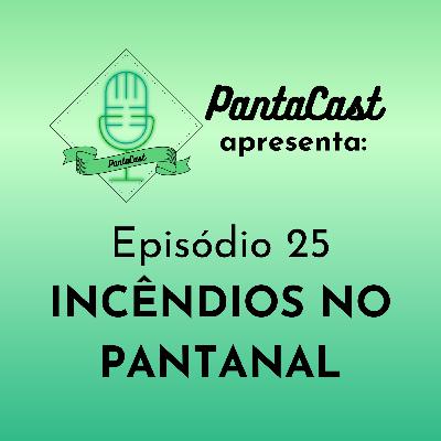Incêndios no Pantanal (PantaCast #25)