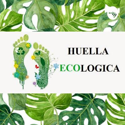 Financiacion para Startups