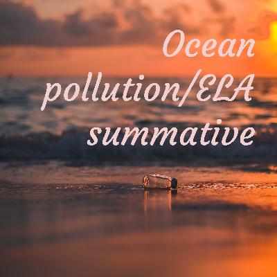 Plastic pollution and how it is affecting our oceans