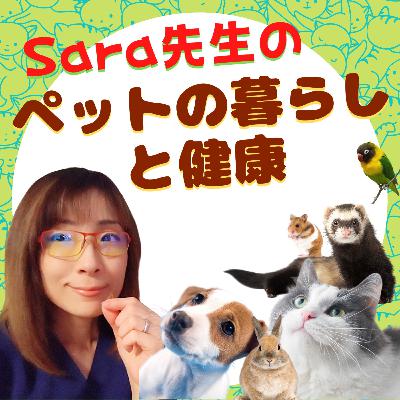 限定LIVE（途中まで公開）🍀ジェミ二先生とコラボ！年末の人と犬猫に優しいおそうじ術❗🐶🐱