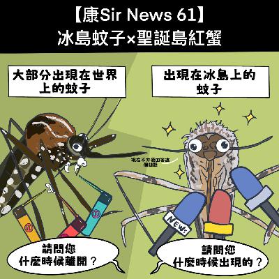 【康Sir News 61】冰島蚊子×聖誕島紅蟹