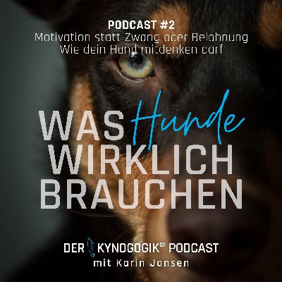 Motivation statt Zwang oder Belohnung Motivation statt Zwang oder Belohnung